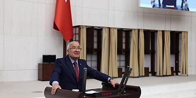 KOCAMAZ MECLİSTE Sayın Başkan Değerli Milletvekilleri, 
